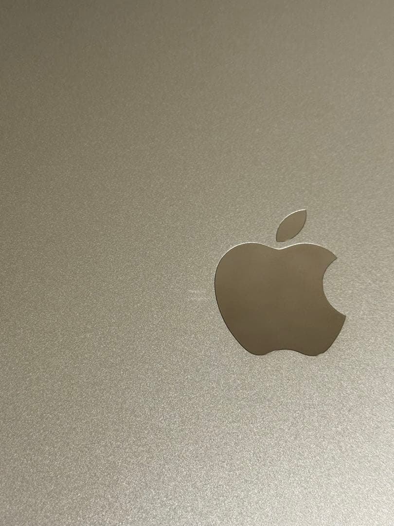 【バッテリー最大容量100%】iPad mini 4 32GB