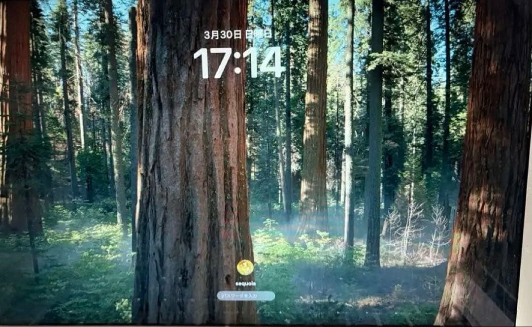 中古Macmini (Late2014) CPU: i5 メモリ：8GB