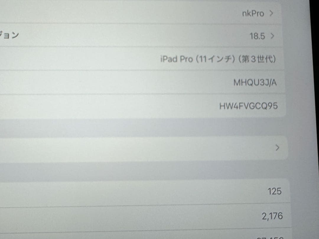 iPad Pro 11インチ 第3世代256GB Apple pencil2付