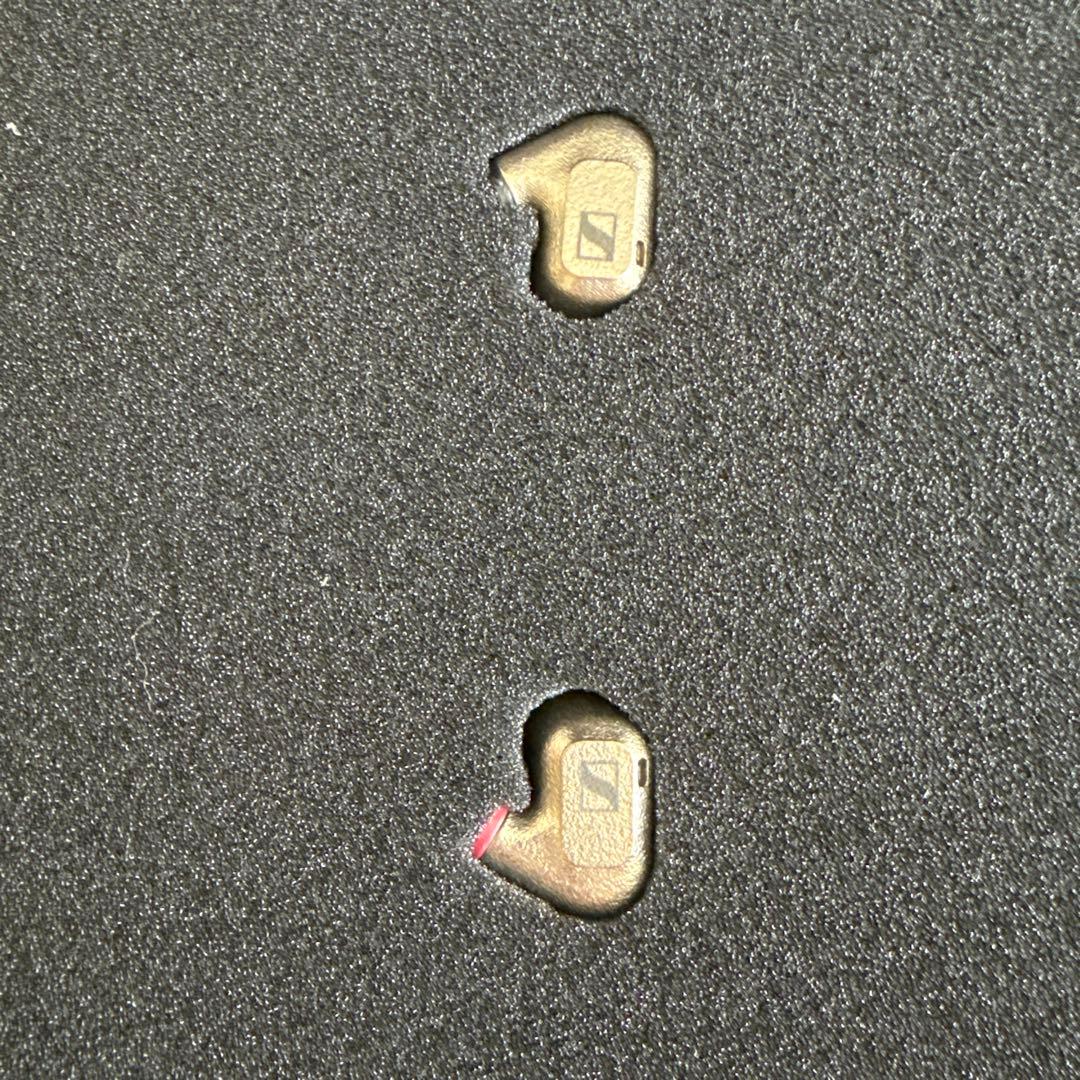 SENNHEISER IE600 イヤホン