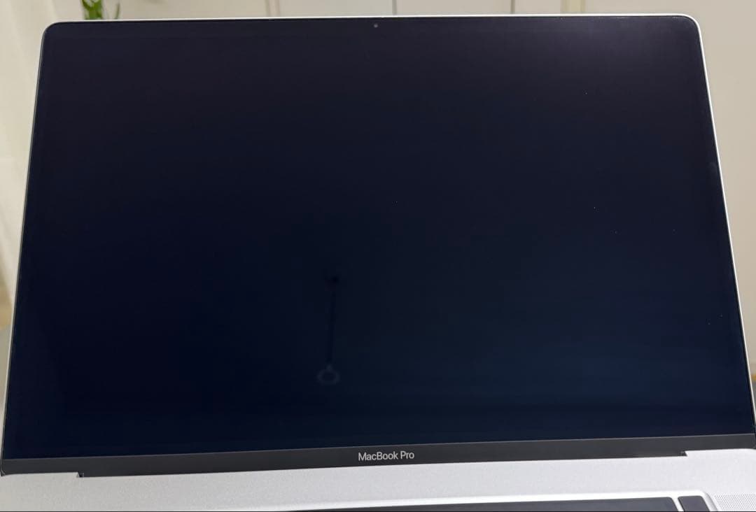 MacBookPro i9 32GB 1TB 充放電98回 バッテリー94%