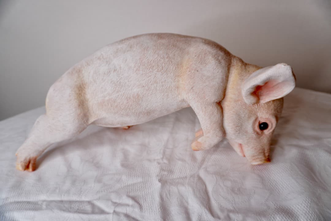 ブタさんのオブジェ 引っ掛けられる インテリア 置物