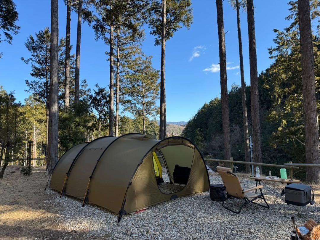 used THE FREE SPIRITS Watchtowerコヨーテ