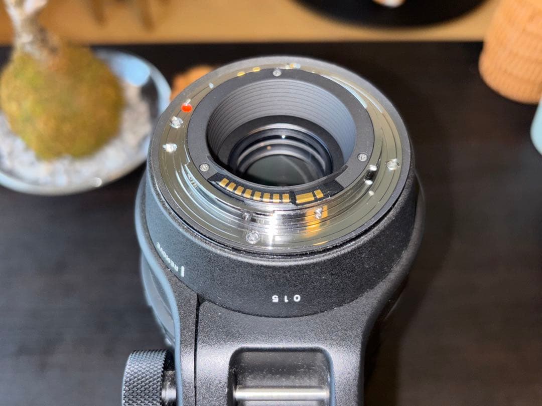 レンズ(ズーム) SIGMA 150-600mm F5-6.3 contemporary