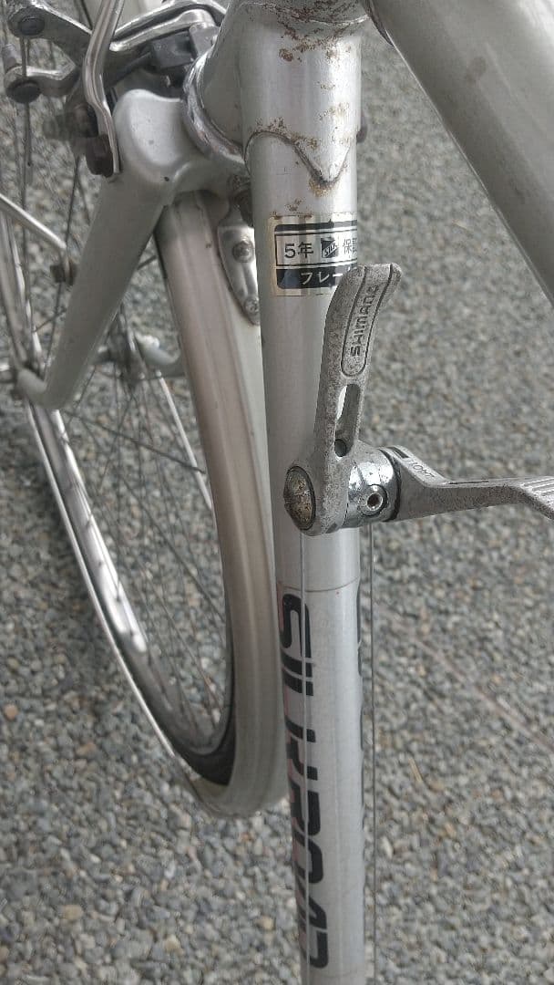 片倉シルク SILK ROAD スポルティーフ シルバー