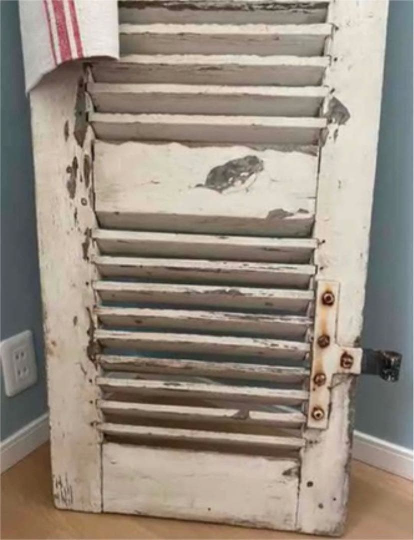 ⋱♱⋰ ⋱♱フランス　　ルーバー⋱♱⋰ ⋱✮⋰ ⋱♱