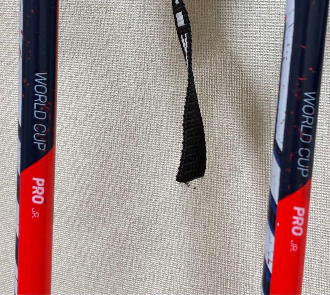 SWIX WC PRO JR SL 100 パンチガード付 + GS 105