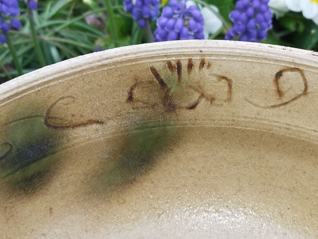 ♥各務周海 　黄瀬戸　鉢