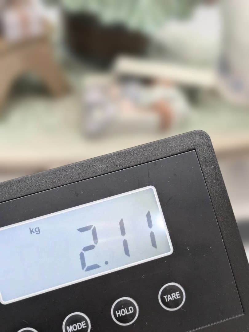 #15235　リヤドロLLADRO　クリスマス　ツリーを飾ろう