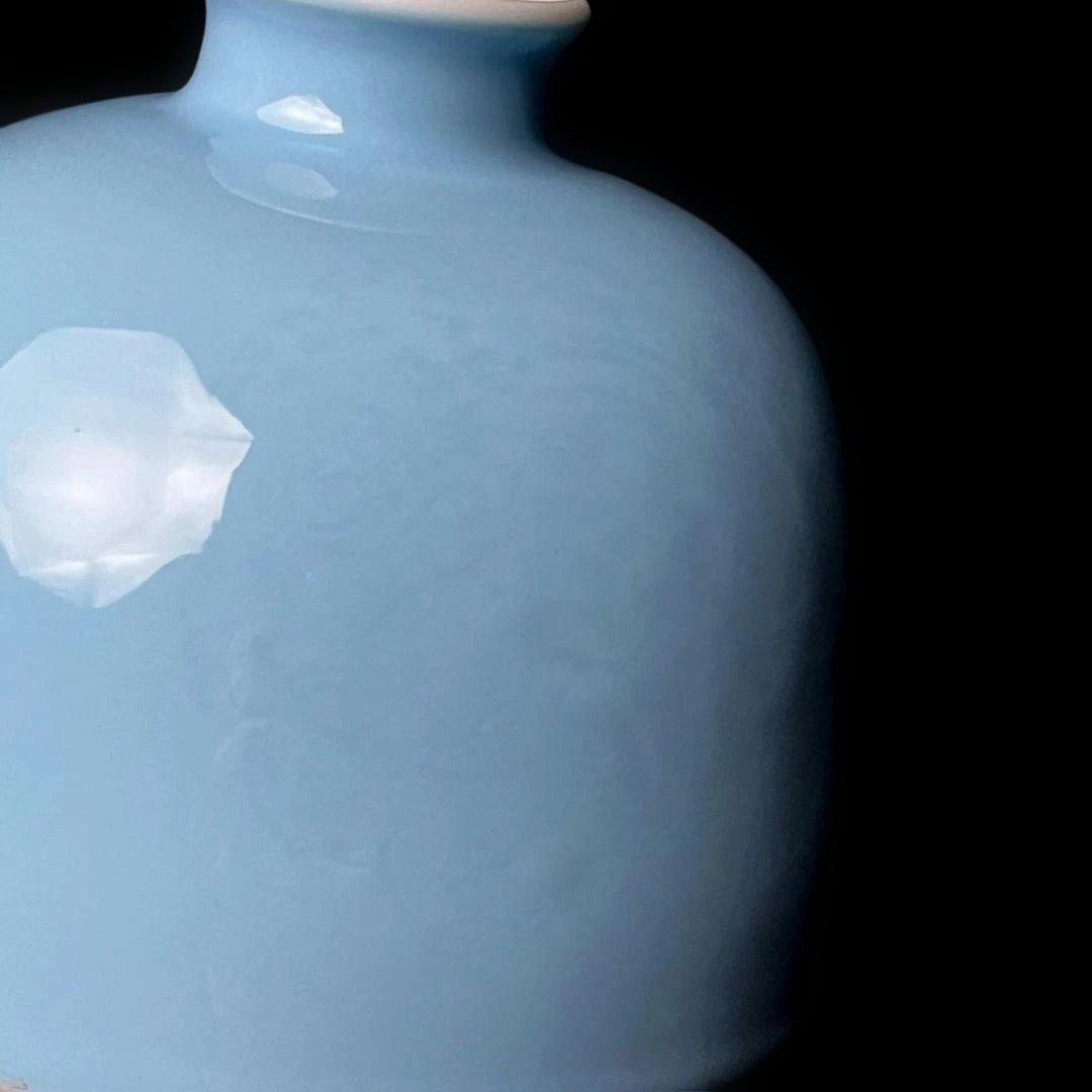 唐物 天青釉暗刻龍紋太白尊 大清康煕年製 款 中国美術 古玩 SH27