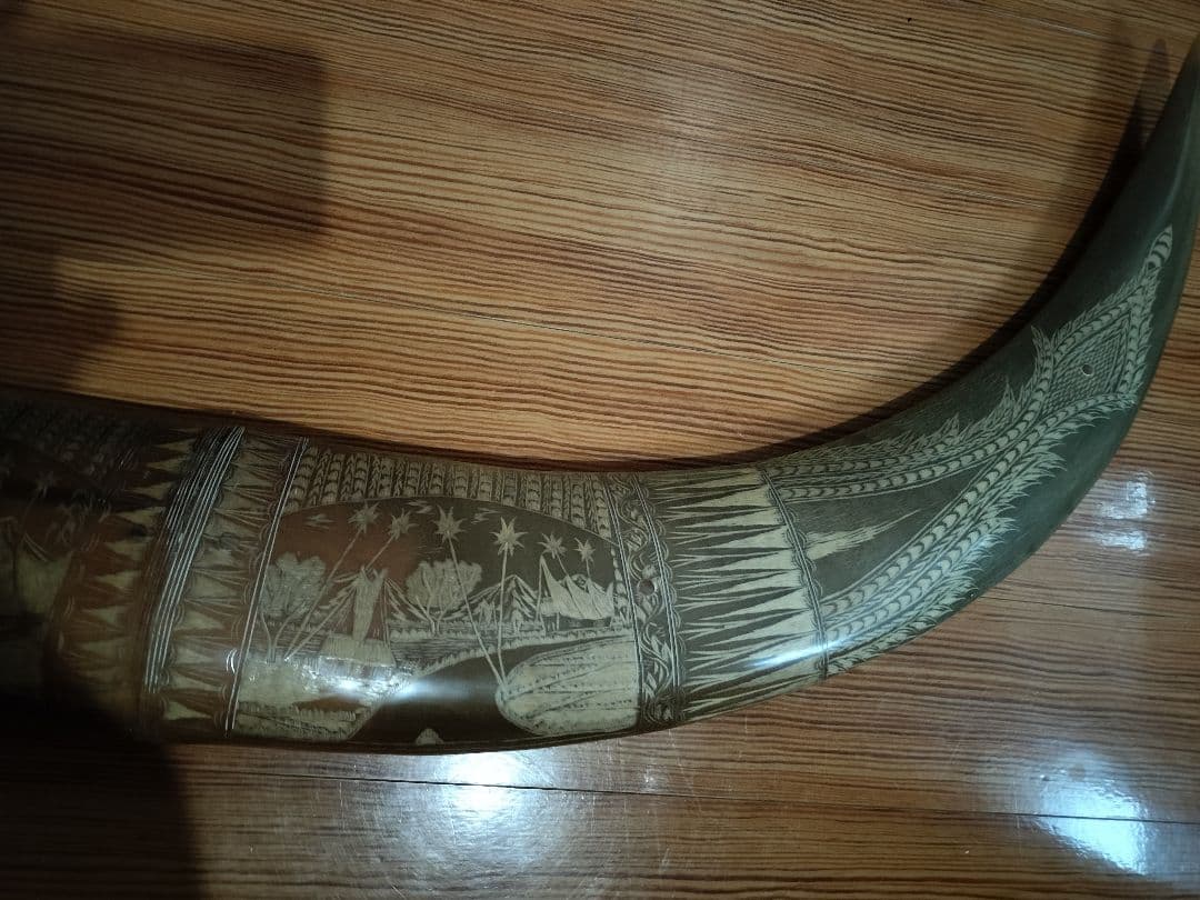 水牛つの　装飾品　インテリア　コレクター　コレクション