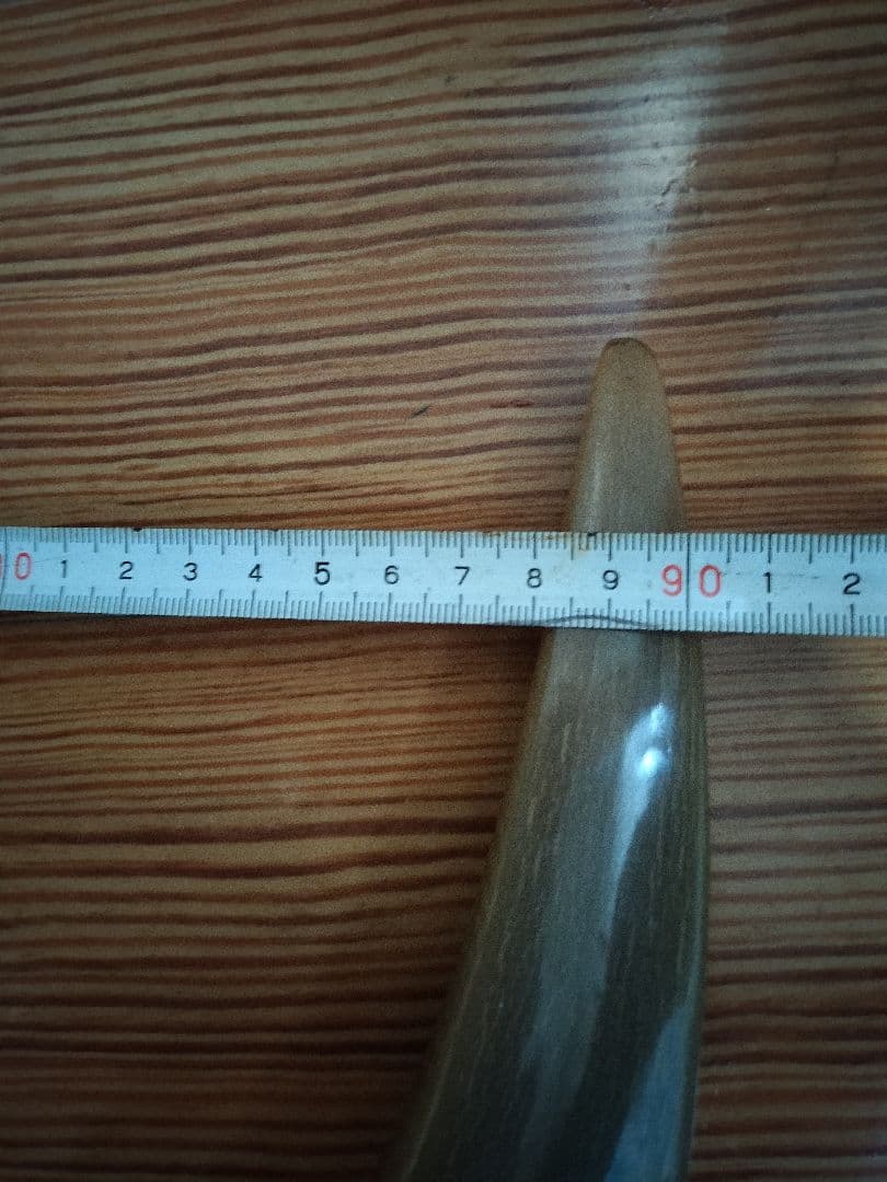 水牛つの　装飾品　インテリア　コレクター　コレクション