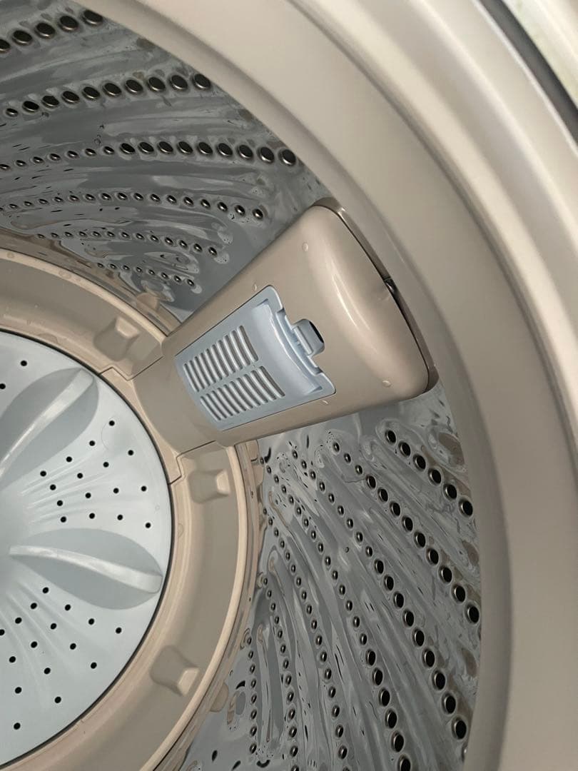 Hisense 洗濯機 HW-K55E 2025年製