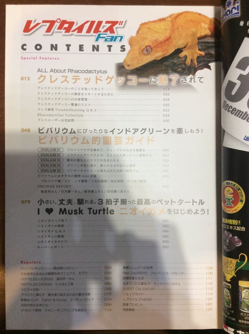 レプタイルズ Fan Vol.1〜5 全5冊 まとめ売り コスミック出版