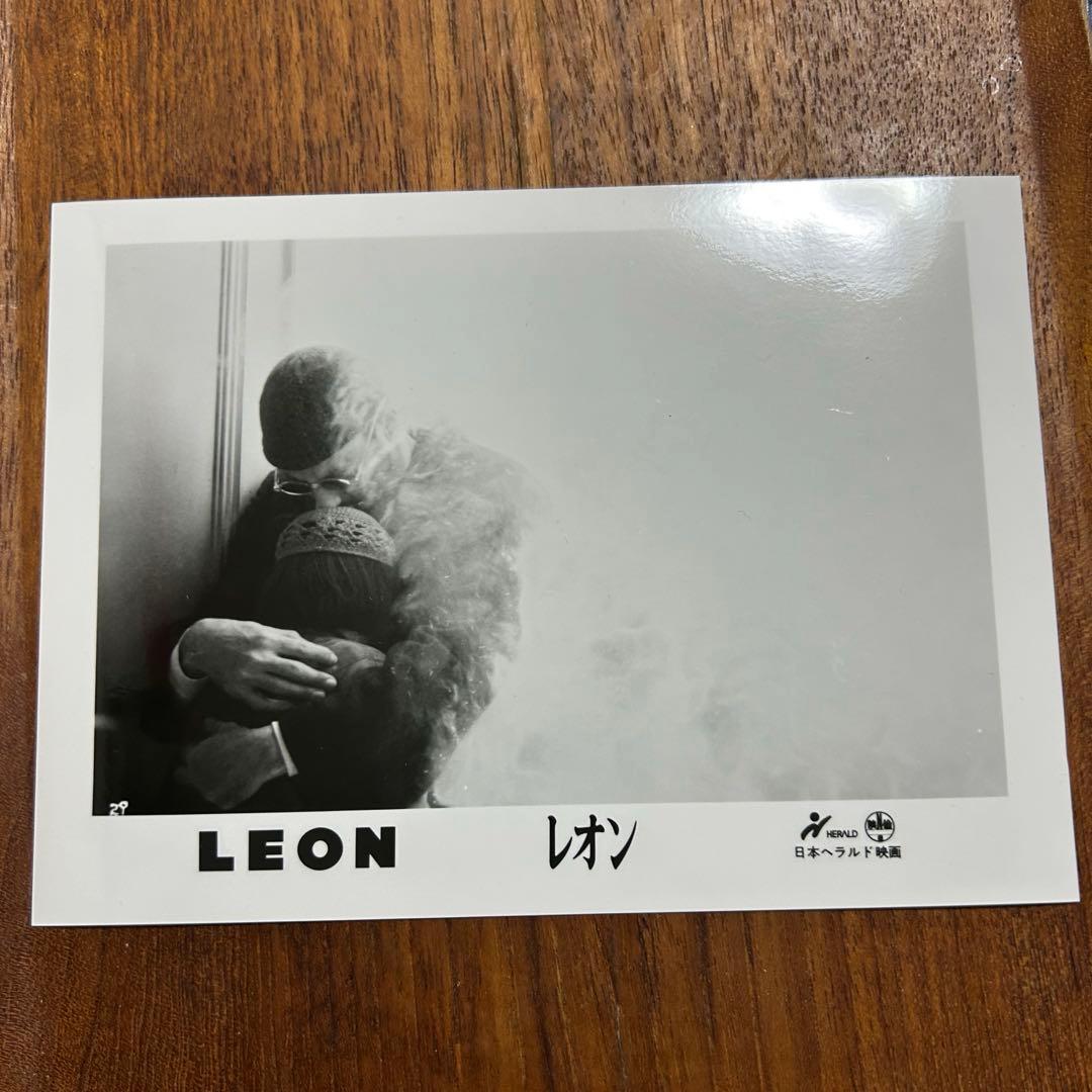 15枚セット専用　LEON 完全版　日本ヘラルド映画　スチール写真　レオン