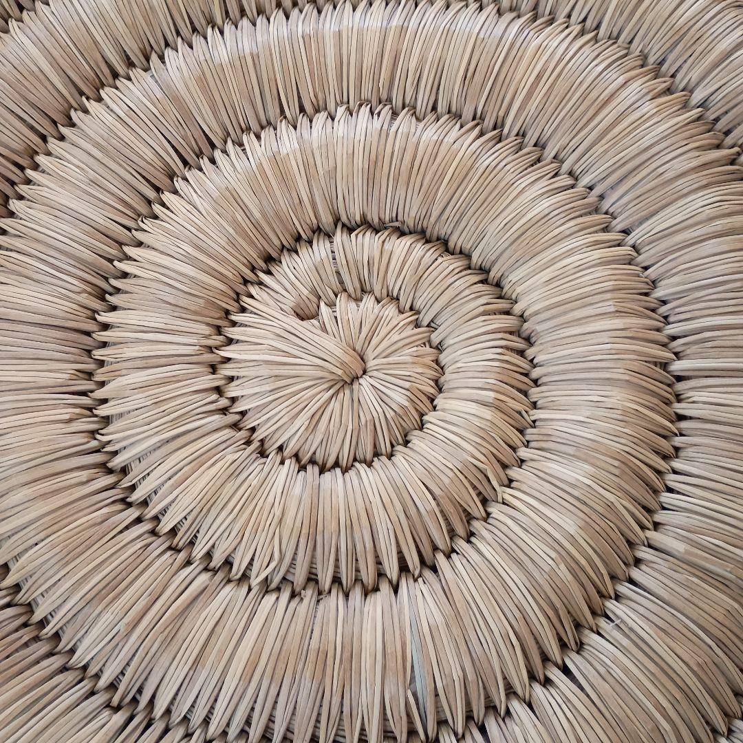 【希少】 円座 い草 うずまき２枚