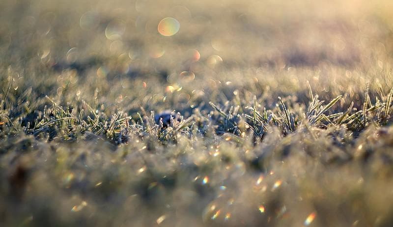 24　未使用　ぐるぐるボケレンズ　ヘリオス　44-2　M42アダプター付