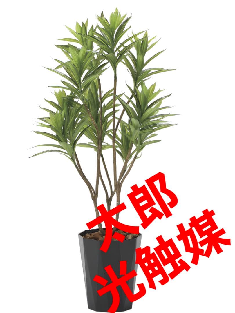 光触媒　人工観葉植物　フェイクグリーン　フレッシュドラセナ1.2m