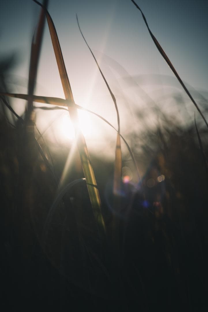 訳ありSALE！Leica Summicron 50mm 1st 沈胴