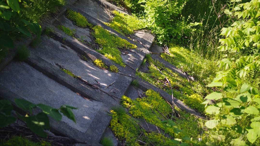 PENTAX K-1 と 77mmF1.8 Limited