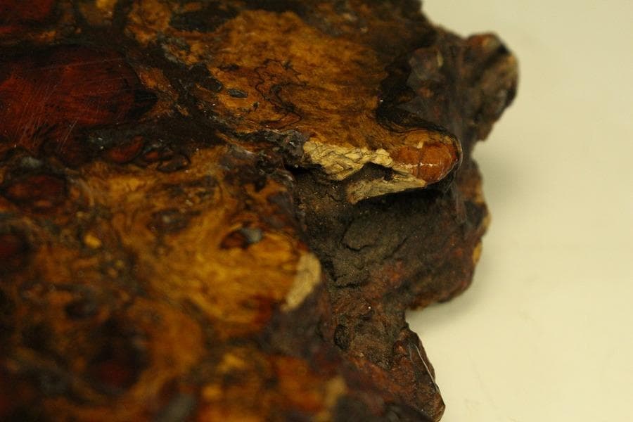 葡萄木 自然木 瘤 敷板 78cm×56cm 花梨 紅木 銘木(A466)