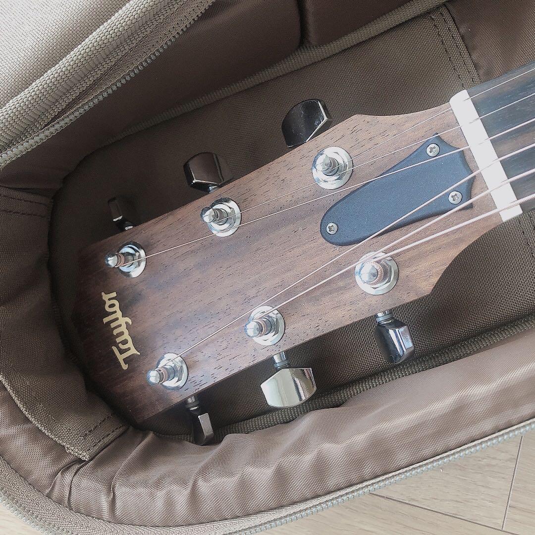 Taylor ギター　academy 10e