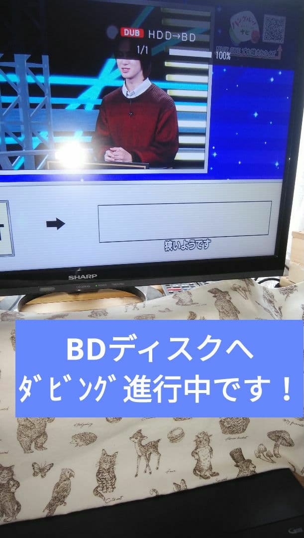 2021年モデルシャープ2B-C10DW1/二番組同録・4K再生可/実動/純リモ