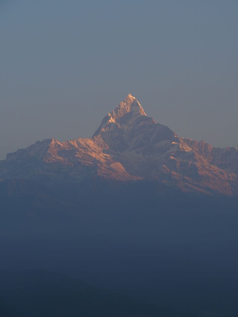 ヒマラヤ シャリグラム 三葉虫とアンモナイトの化石