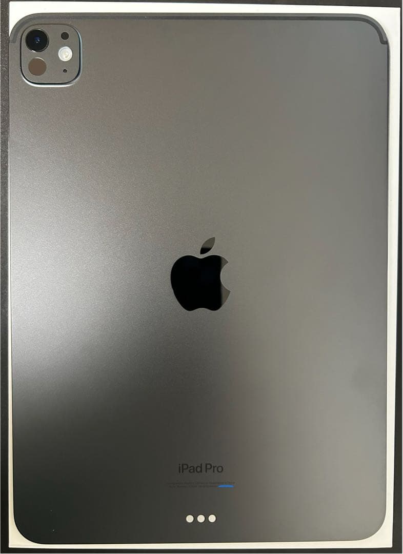 iPad本体 iPad Pro M4 256GB