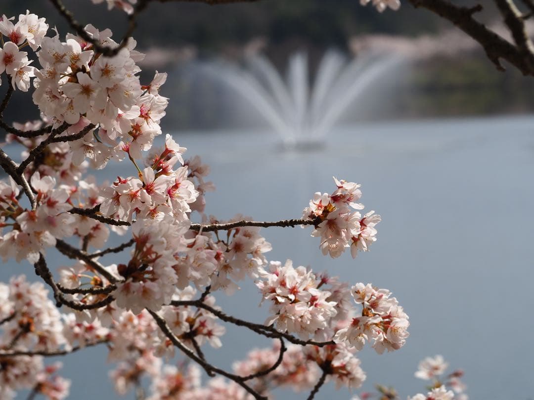 OLYMPUS PEN E-PL10 EZ★標準＋望遠レンズ　ダブルズームキット