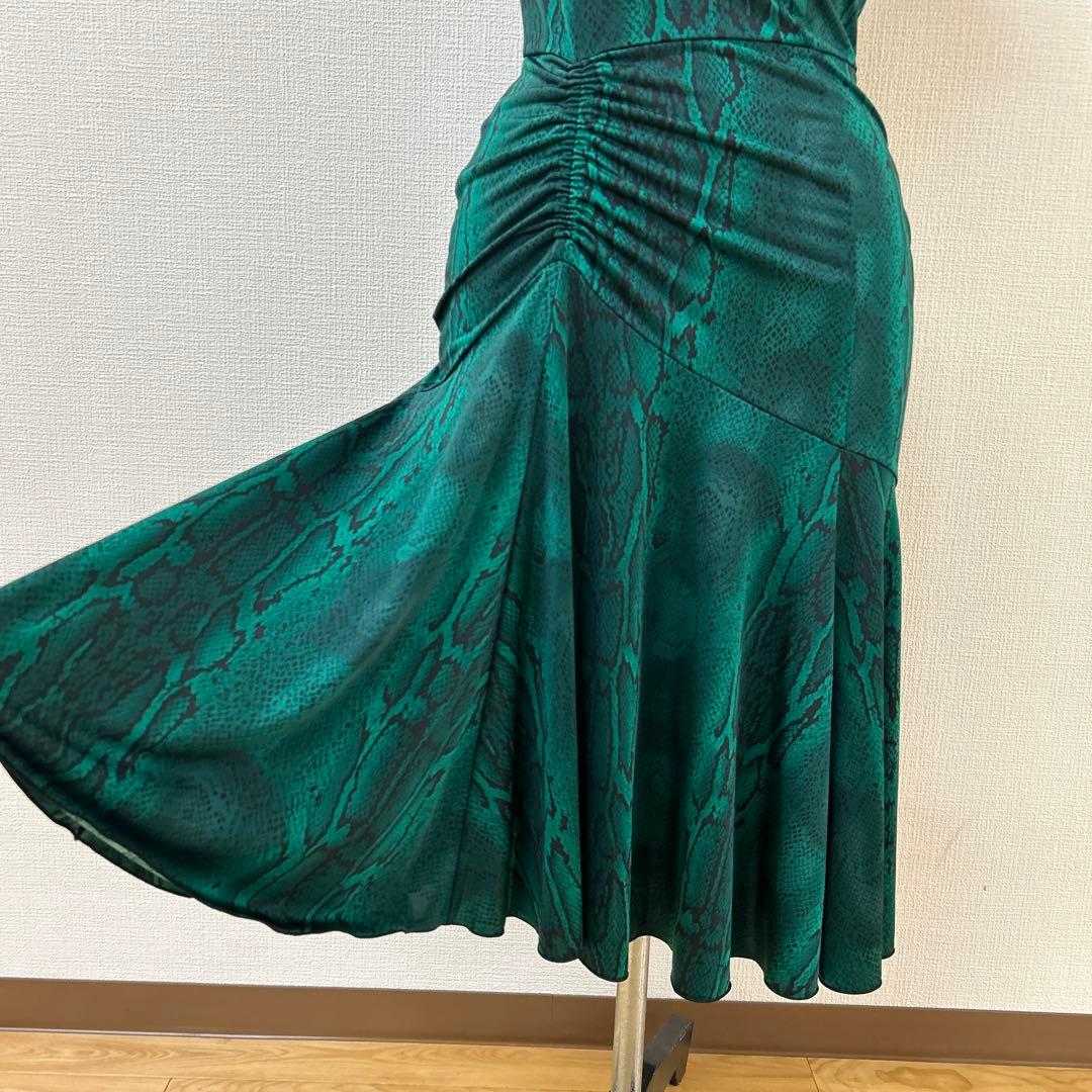 チャコット社交ダンスラテンワンピース緑ヘビ柄