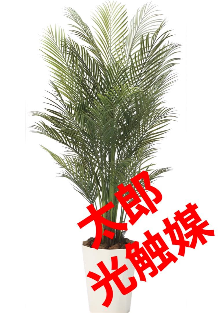 光触媒　人工観葉植物　ウォールグリーン　フェイクグリーン　アレカパーム1.7m