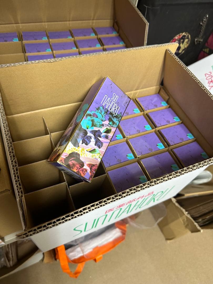 サンナホル　ナチュラルトリートメントシャンプー300ml 2本　分包商品説明書付