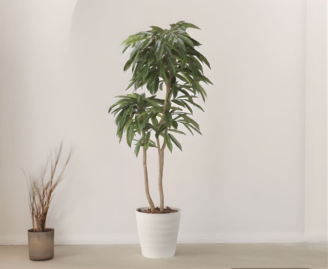 光触媒　人工観葉植物　フェイクグリーン　アムステルラバーキング1.8