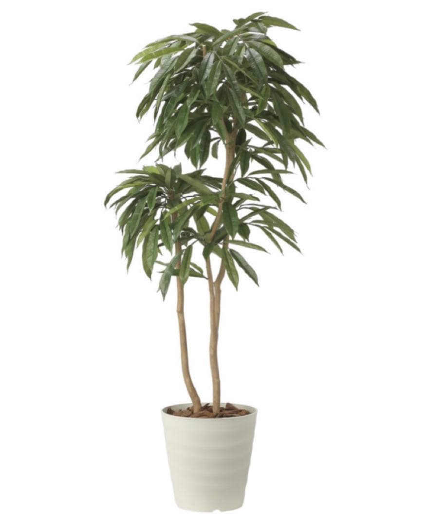 光触媒　人工観葉植物　フェイクグリーン　アムステルラバーキング1.8