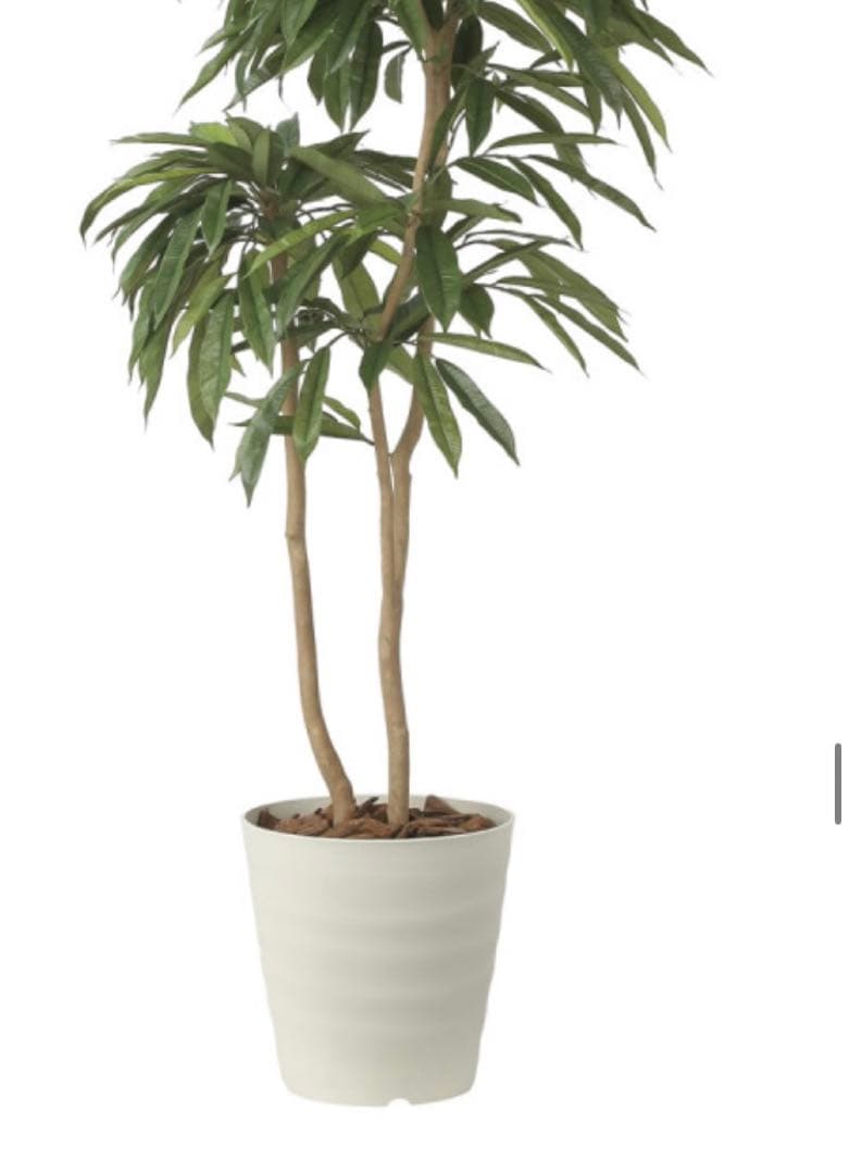 光触媒　人工観葉植物　フェイクグリーン　アムステルラバーキング1.8