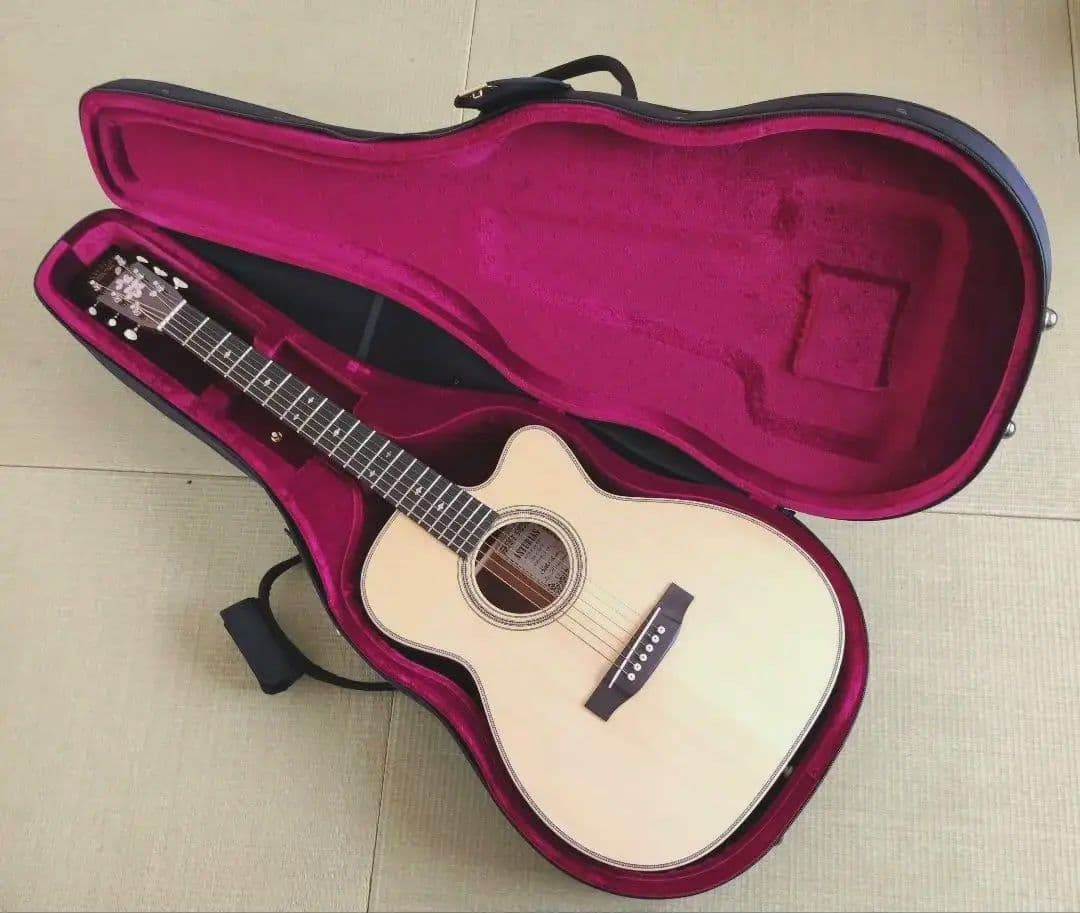 【限定特価】アストリアス ソロ ヘリンボーン セミハードケース+弦2セット