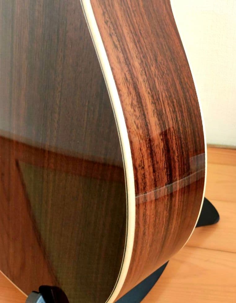 【限定特価】アストリアス ソロ ヘリンボーン セミハードケース+弦2セット