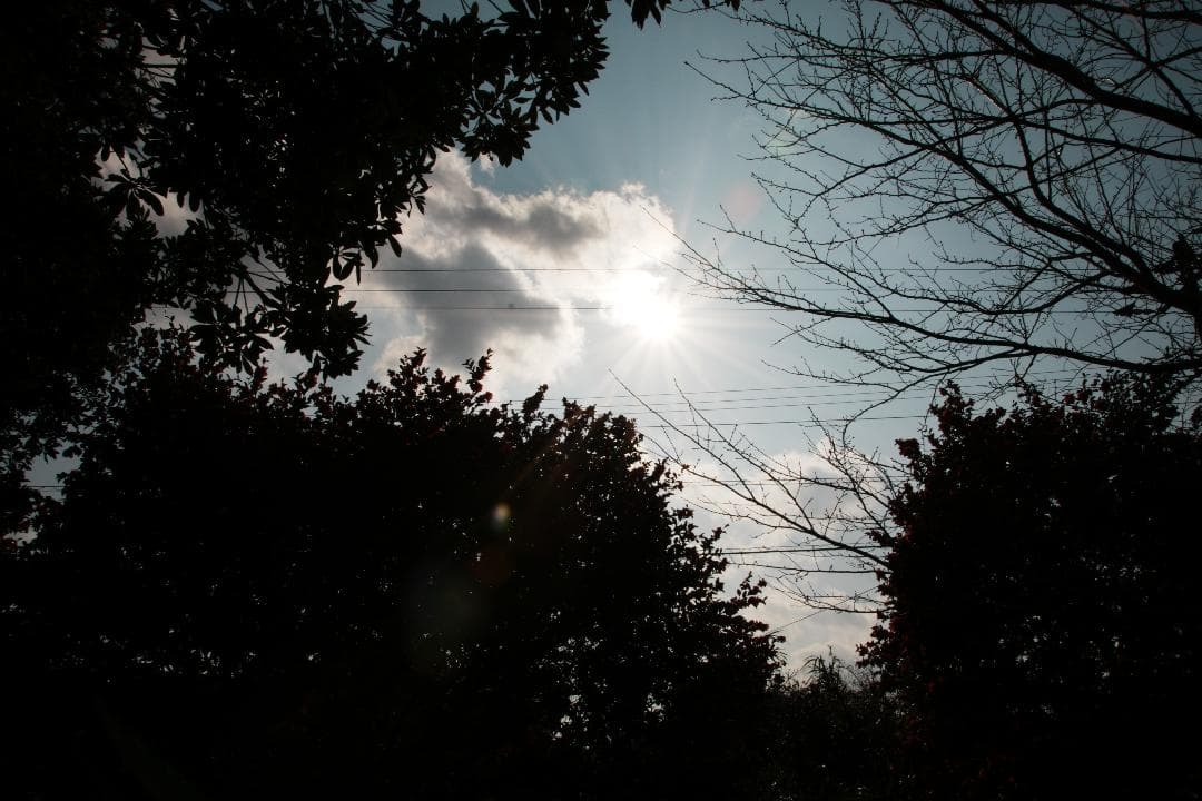 *美品★ニコン 18-200mm VR II 便利ズーム 手ぶれ補正 508