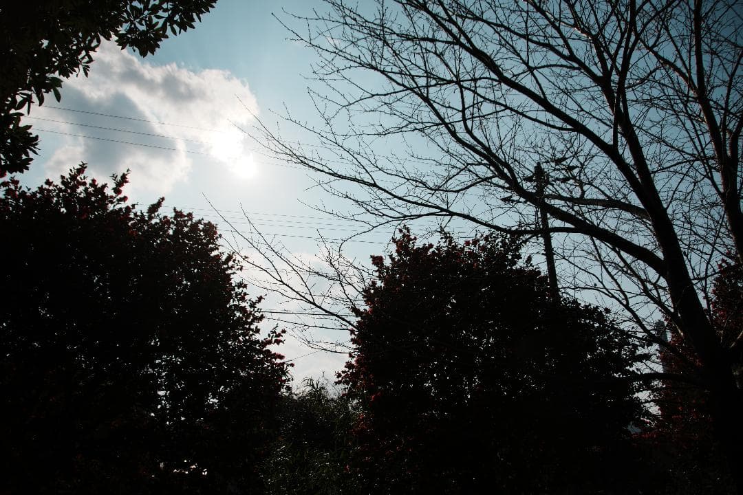 *美品★ニコン 18-200mm VR II 便利ズーム 手ぶれ補正 508