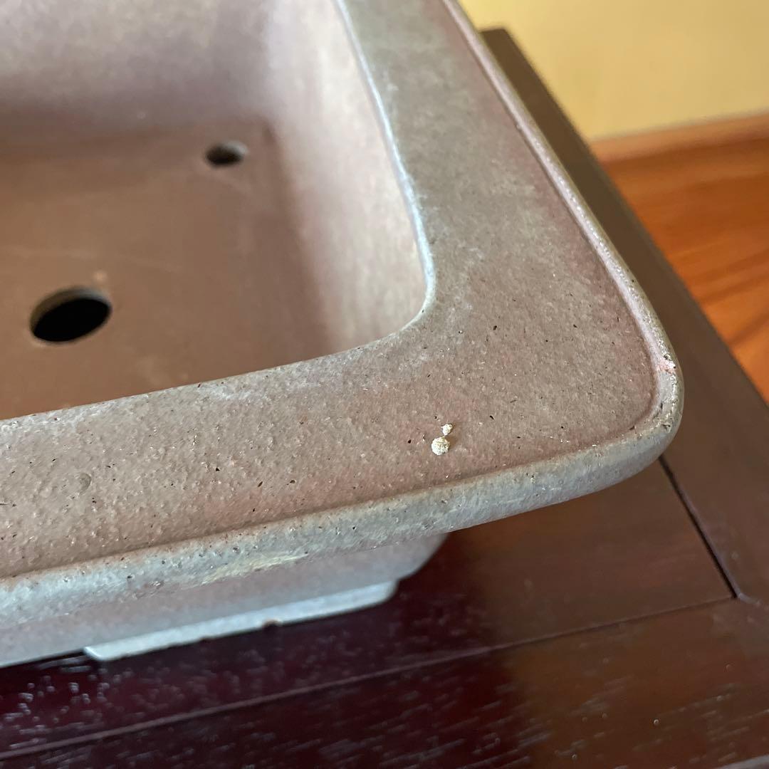 【落款あり】盆栽鉢 常滑 山秋造 松泉焼 紫泥 長方外縁泥物 43cm