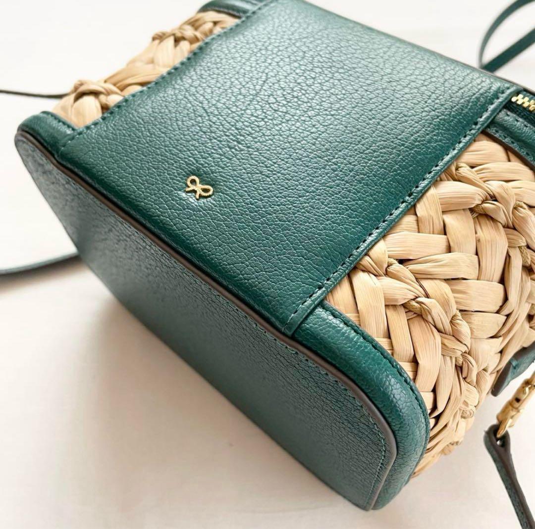 アニヤハインドマーチ　カゴバック　バニティ