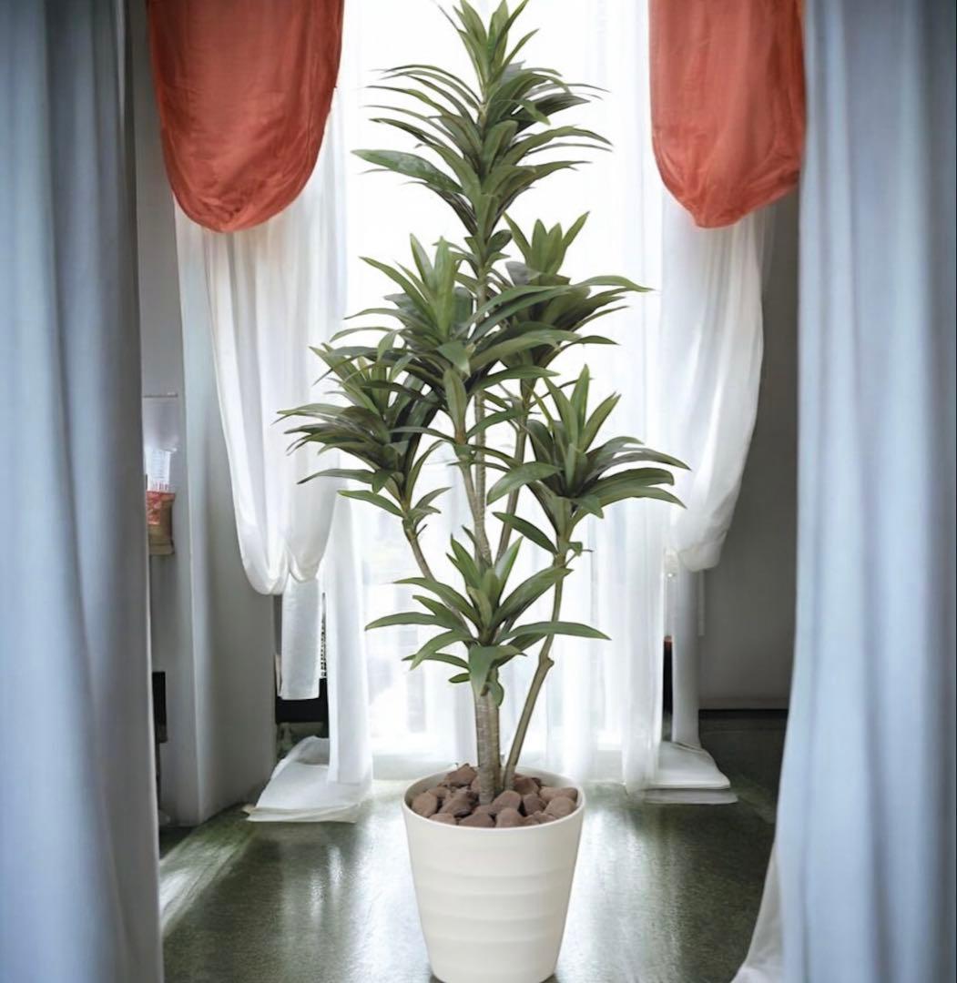 光触媒　人工観葉植物　フェイクグリーン　ドラセナコンパクタ1.25