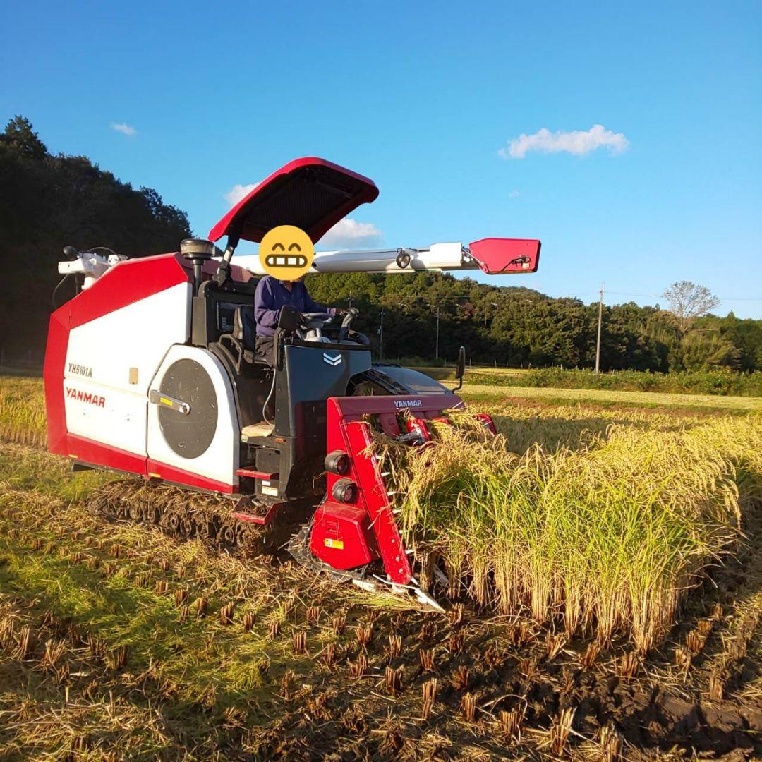 もみ他
