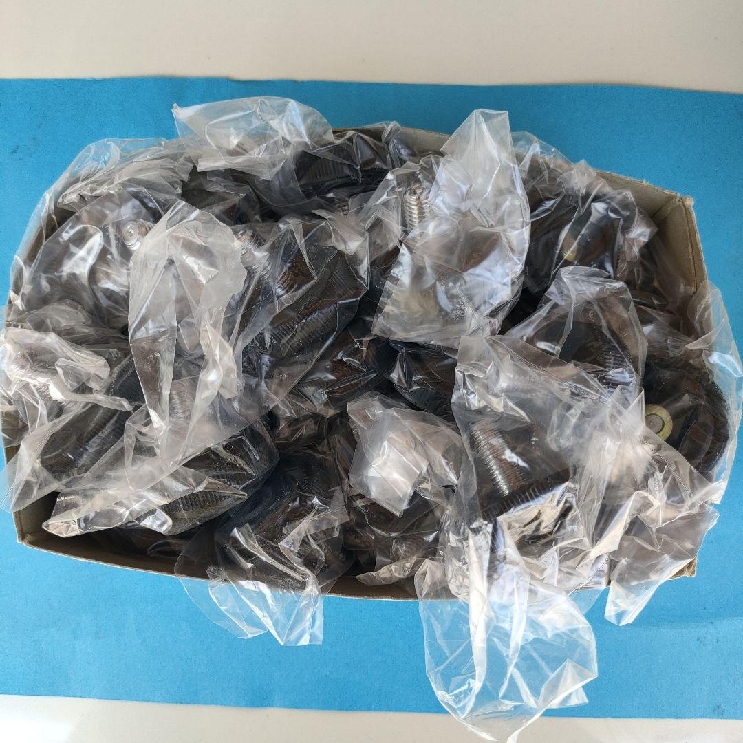 SUGATSUNEランプ５０個入り