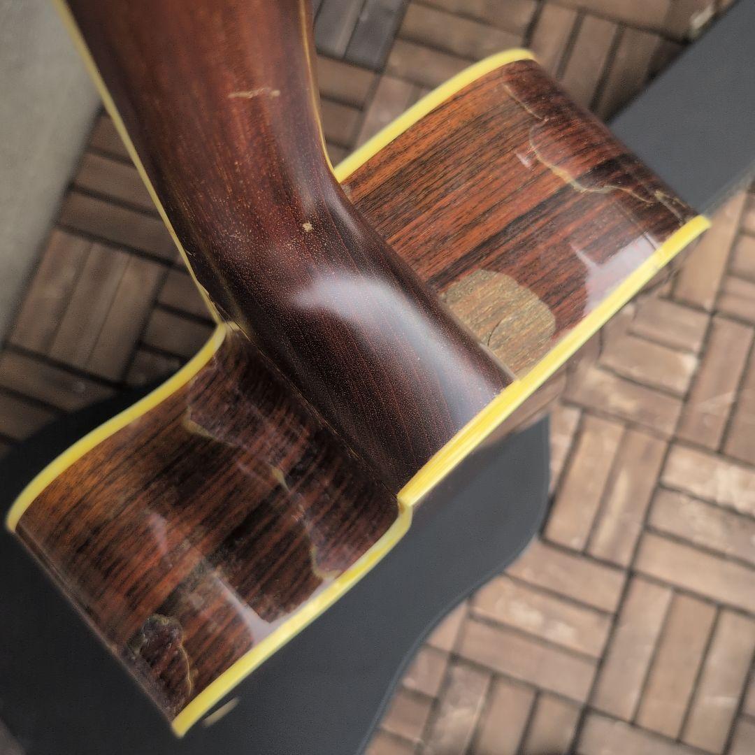 TACOMA 全単板 USA製 DR16C ナチュラル 塗装に難有り！