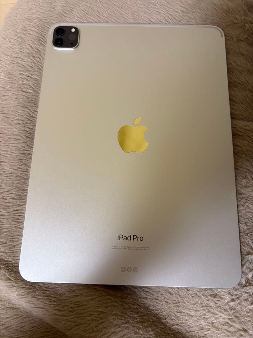 （ふるうつぽんち ）iPad Pro (11インチ) (第4世代) 128