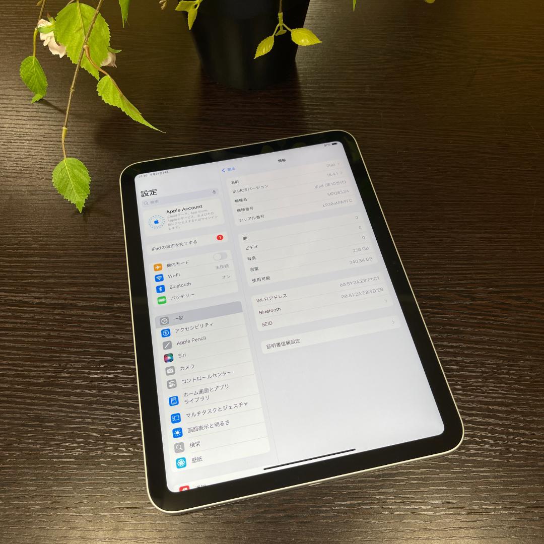 iPad(第10世代) 256GB シルバー Wi-Fiモデル 送料無料