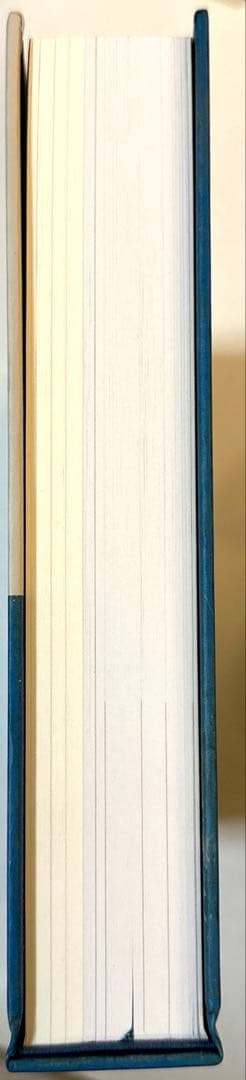 図録　松本俊介 回顧展 2020年　絶版