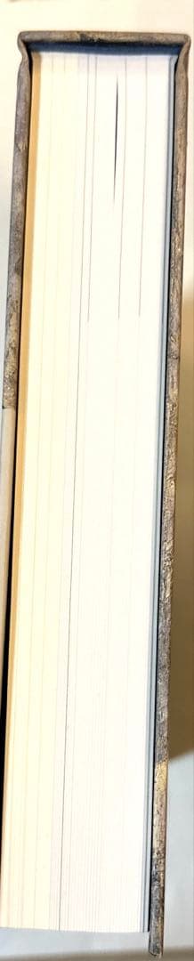 図録　松本俊介 回顧展 2020年　絶版